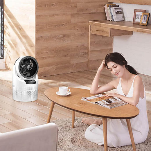 艾美特 FB2383RC空气净化循环扇 商品图2