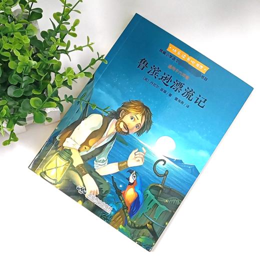鲁滨逊漂流记  商品图1
