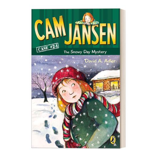 英文原版 Cam Jansen the Snowy Day Mystery #24 简森侦探故事24 英文版 进口英语原版书籍 商品图0