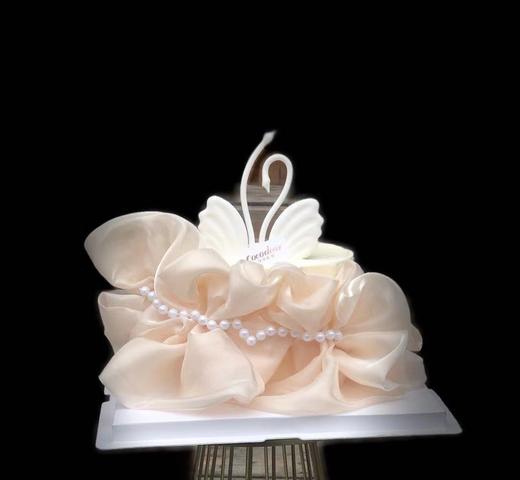 天鹅之恋 商品图0