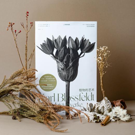 植物的艺术：卡尔·布洛斯菲尔德 摄影画册，70幅经典黑白植物摄影照片 摄影史上的里程碑式作品 商品图0