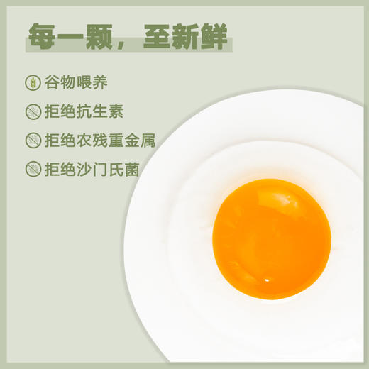 【生鲜-鸡蛋礼盒】田园居30枚 满分蛋 富硒富叶黄素可生食无菌鲜鸡蛋 新鲜直达 SGS检测通过 品牌直供 商品图2