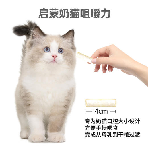 KiligCat冻干羊奶棒奶酪棒 0添加 高吸收 增强免疫 幼猫零食宠物零食【清仓中】 商品图2