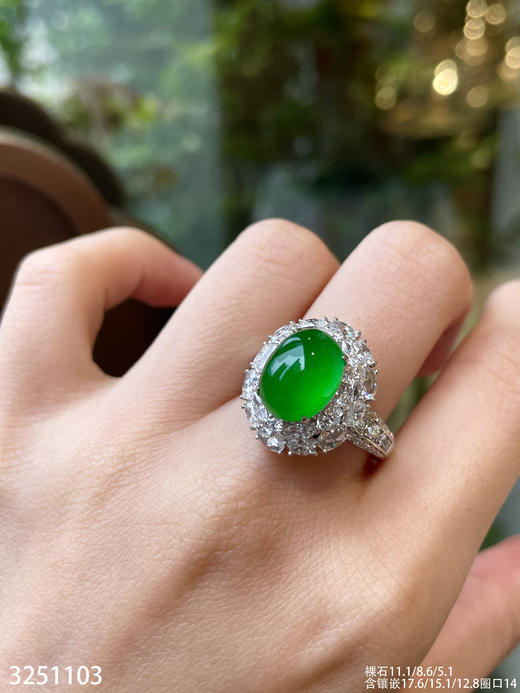 【3251103】具体价格微信咨询 商品图3