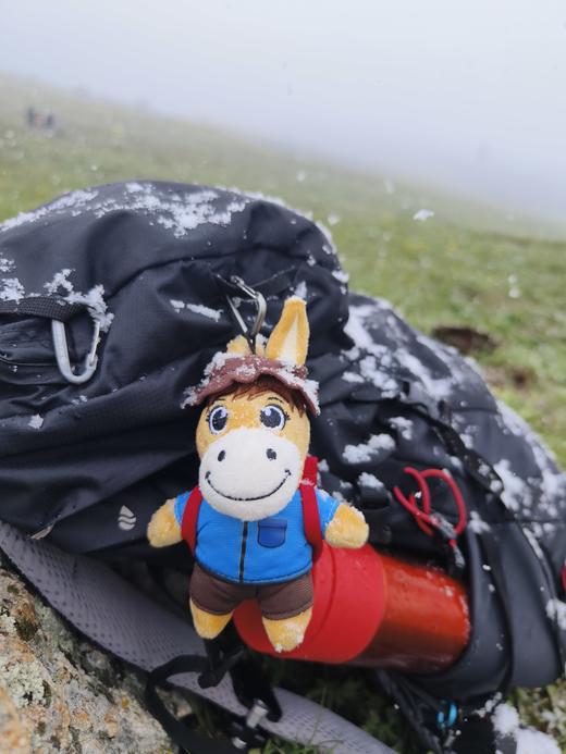 【徒步中国】限量版小驴公仔【TBZG】 商品图3