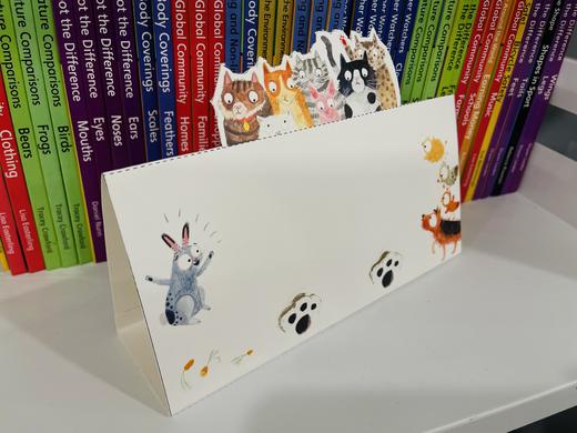 麦田精选图画书 猫咪收藏家/兔子！兔子！兔子！/ 鸭子，鸭子，爸爸？绘本套装共3册 商品图3