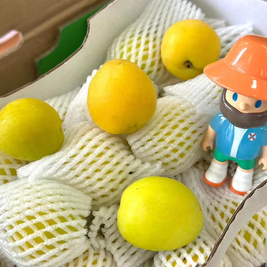 【新疆小白杏】新疆奶油小白杏，杏子，表皮光滑，杏味道很好，甜度高，当季时令上架！ 商品图5