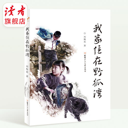 《我家住在野狐湾》 刘梅花/著 甘肃少年儿童出版社 商品图0
