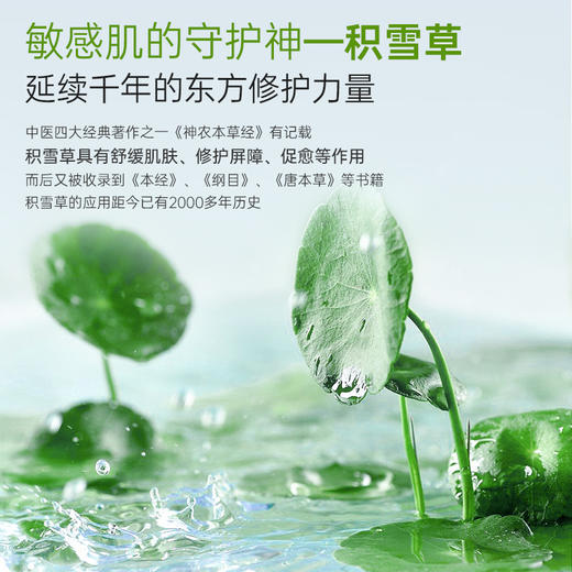 【官方自营】斐思妮绿膜2.0积雪草植物修护贴 商品图4