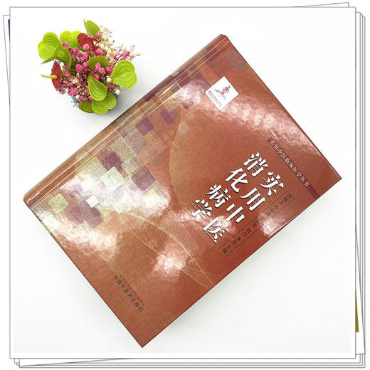 实用中医消化病学 唐旭东 李军祥 张声生 刘力 季光 主编 中国中医药出版社 实用中医临床医学丛书 书籍 商品图2