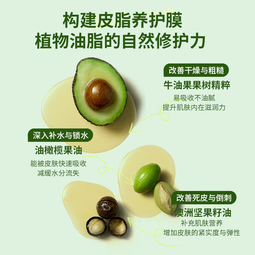 植物精粹护手霜 补水滋润嫩滑 保湿不油腻 纯素正品 商品图3