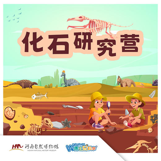 【河南自博-研学】化石研究营，更深入专业的化石研究 商品图0