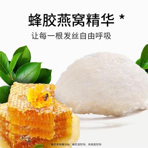 美爱斯蜂胶燕窝顺滑香氛护发乳430ml(效期26年4月) 商品图1