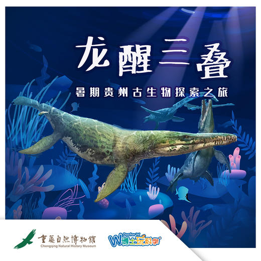 【重庆自然博物馆】】龙醒三叠暑假贵州五日研学营 商品图0