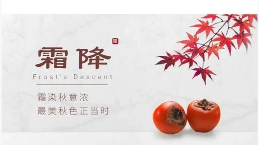 会员服务：1106周一早转化之力 商品图0