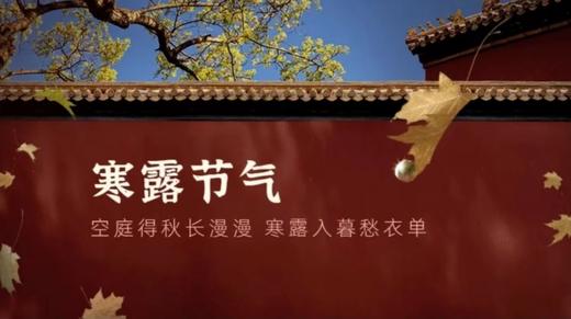 会员服务：1022周日早中央旺旺 商品图0