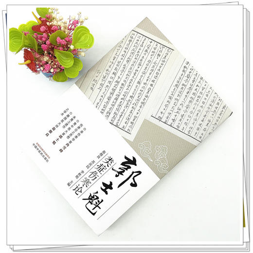 郭士魁类症伤寒论 翁维良 苏庆民 李秋艳 主编 中国中医药出版社 伤寒论 中医临床 书籍 商品图2