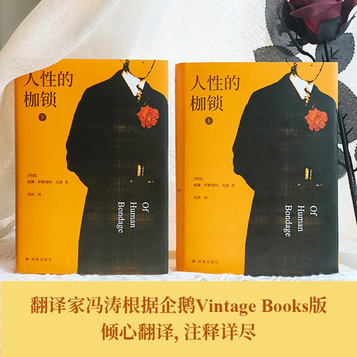 人性的枷锁 商品图1