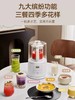 大宇破壁机家用低噪轻音破壁机多功能全自动小型迷你破壁豆浆机FP03 商品缩略图2