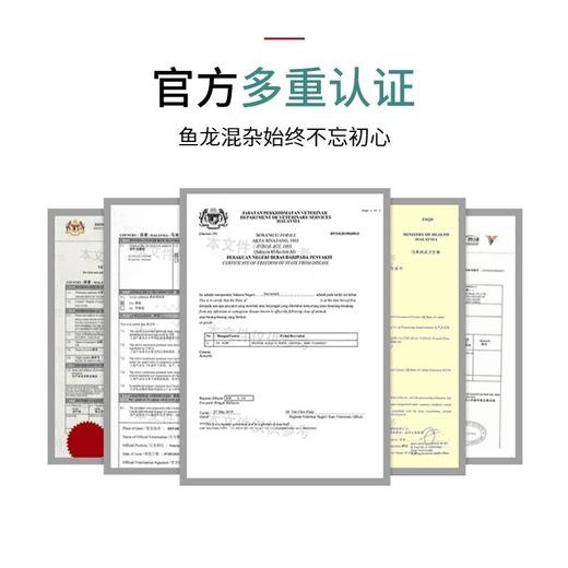 夫人燕窝 印尼进口溯源干燕窝盏  溯源小盏10克 商品图9