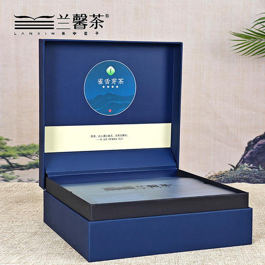 【2023新茶】兰馨湄潭雀舌绿茶翠芽贵州特级茶叶毛尖明前春茶125g 商品图3