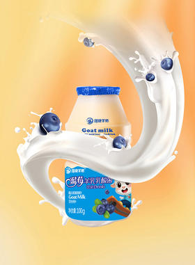 瑞康羊奶蓝莓乳酸菌100ml*20