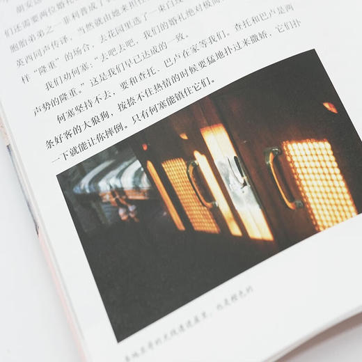 庆祝什么也不干的一天 智利生活手记 园有桃 著 旅游地图 商品图2