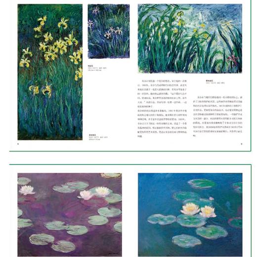 《凡·高守望星空》《莫奈追寻光影》礼盒典藏版  完整、真实、系统地还原凡高的一生，爱上莫奈的光影信仰 商品图7