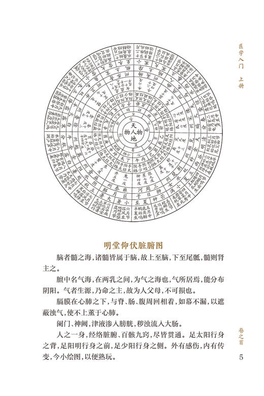 新版 医学入门上册 中医临床必读丛书重刊 明 李梴编撰 田代华等整理 内科古籍 简体横排白文本 人民卫生出版社9787117345071 商品图3