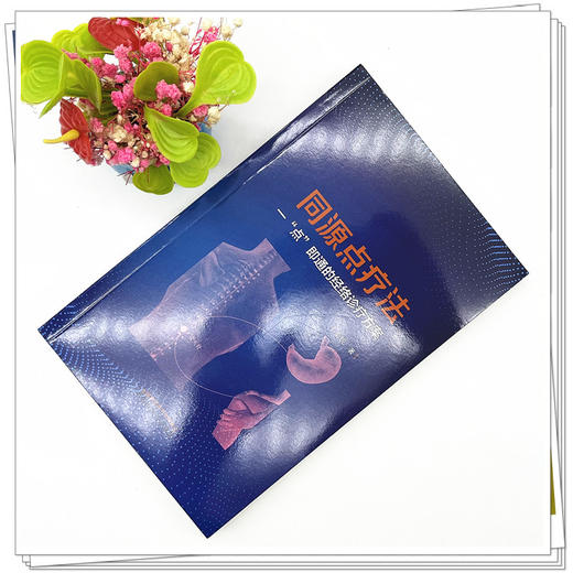 同源点疗法 一点即通的经络诊疗方案 彭锐 著 中国中医药出版社 中医书籍 商品图2