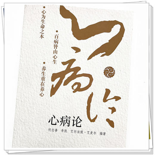 心病论 何念善 李凯 艾尔法提 艾麦尔 编著 中国中医药出版社 商品图4