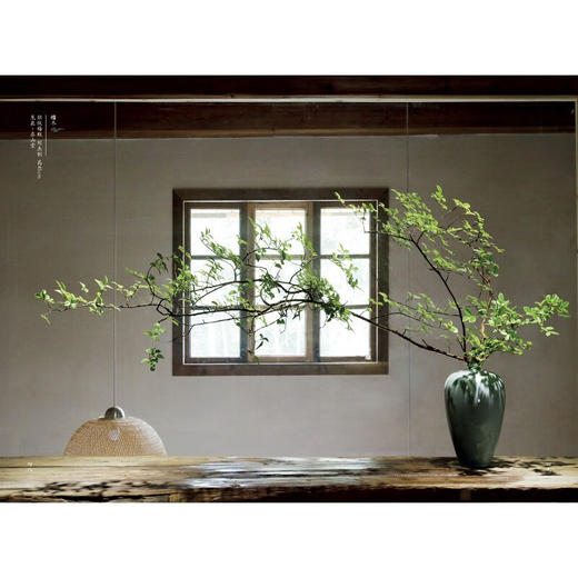 花间世 中式古典插花 汉竹  南京  精  第二版 吴永刚 著 家居 商品图2