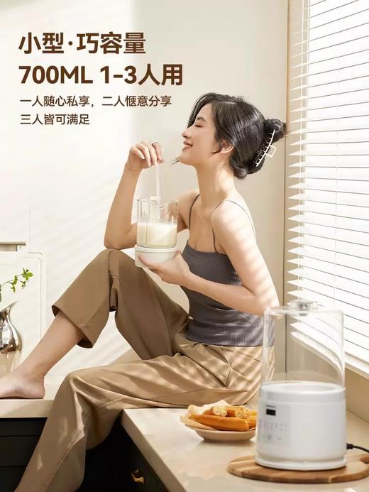 大宇破壁机家用低噪轻音破壁机多功能全自动小型迷你破壁豆浆机FP03 商品图3