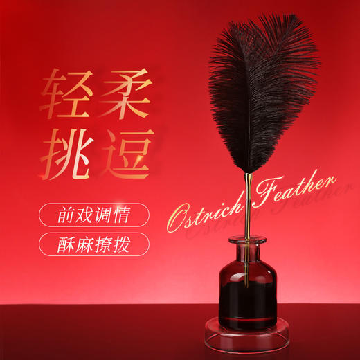 【SM-ebde】鸵鸟毛挑逗棒震动棒情趣女专用自动抽插成人伸缩神器 商品图0