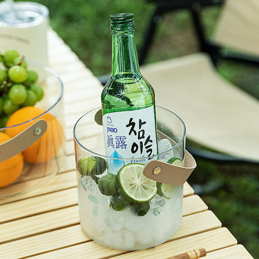 摩登主妇轻奢水果盘家用客厅茶几冰桶网红零食摆放收纳盒野餐果篮 商品图3