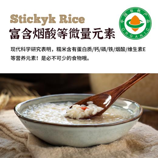 内蒙古有机糯米 商品图1