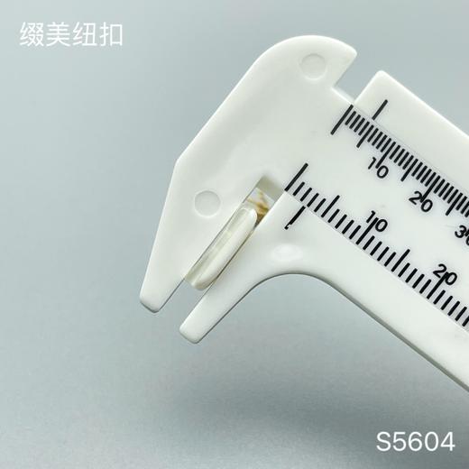 S5604(整包购买) 商品图5