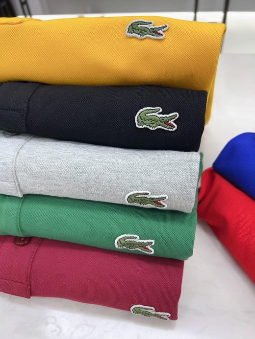 男反领短袖T33136 商品图5