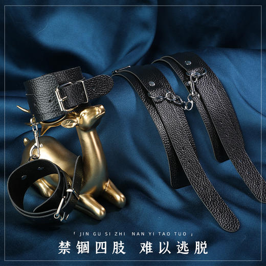 【SM】赠品口球搭配系列 商品图8