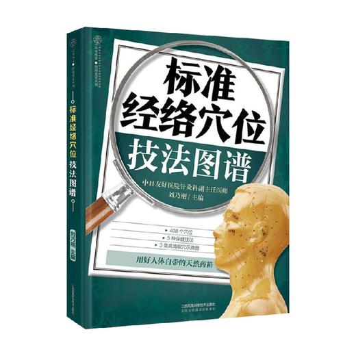 标准经络穴位技法图谱 汉竹 刘乃刚 著 医学 商品图4