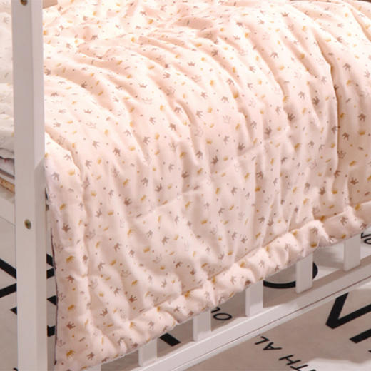 龙之涵 印花蚕丝被胎 两个花色可选 商品图2