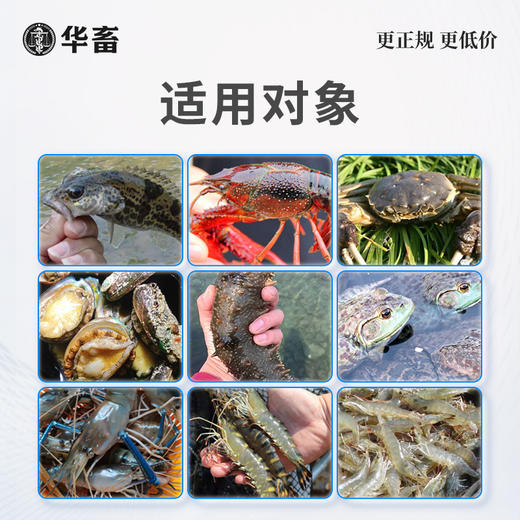 华畜虾蟹多维生命素200g 补充维生素减少应激 增强体质促进生长 水产专用 商品图1
