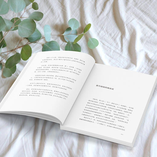 肖复兴给孩子的阅读写作课（全四册）   肖复兴 著  磨铁图书 商品图4