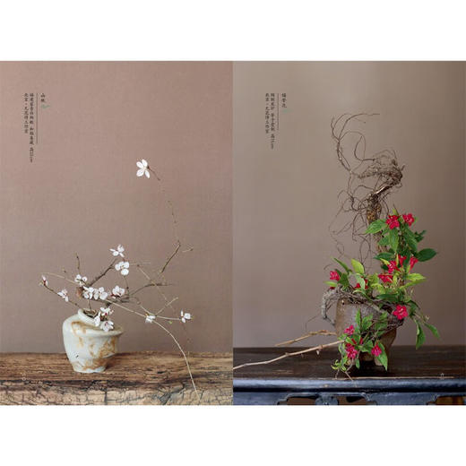 花间世 中式古典插花 汉竹  南京  精  第二版 吴永刚 著 家居 商品图3