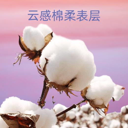 【量贩装1箱36包】云霓 绮梦系列180mm女性卫生护垫12片装*36包 商品图4