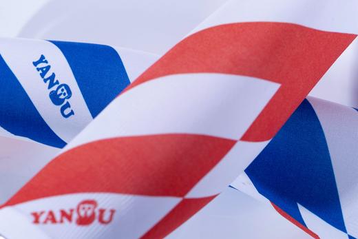 严素冰丝臂套,三色斜纹2023, 袖套,速干,排汗,透气,防晒,温度调节，红白蓝 商品图0