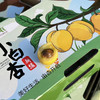 【新疆小白杏】新疆奶油小白杏，杏子，表皮光滑，杏味道很好，甜度高，当季时令上架！ 商品缩略图6