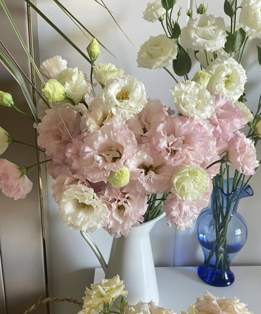 【洋桔梗】-樱花粉（肉粉）若干枝/扎 商品图0