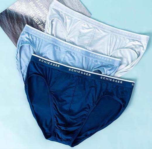 【3A抗菌蚕丝莫代尔】SCHIESSER舒雅内裤男士夏季AAA抗菌莫代尔桑蚕丝底裤男生短裤男款三角裤头35/20593S 商品图4