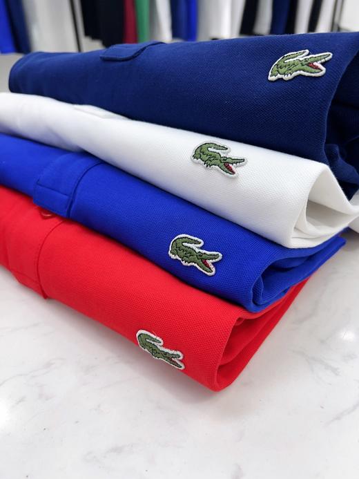 男反领短袖T33136 商品图6